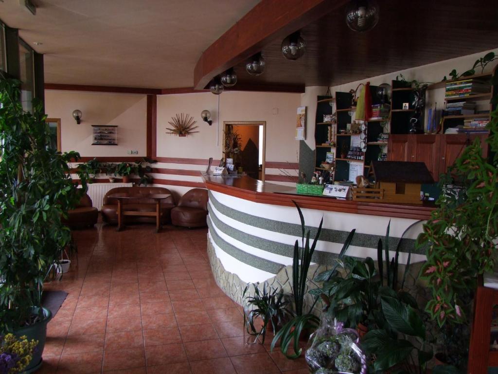 וטרה דורניי Hotel Silva מראה חיצוני תמונה